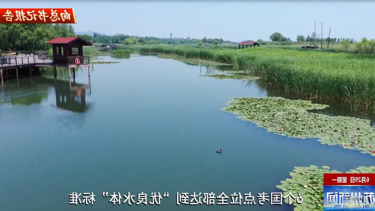 十大合法赌博网站