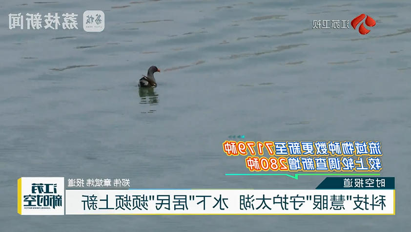 十大合法赌博网站
